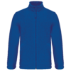 royal-blue