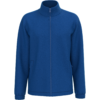 royal-blue