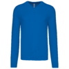 light-royal-blue