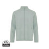 iceberg-green