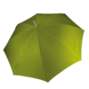 burnt-lime