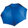 royal-blue