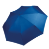 royal-blue
