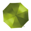 burnt-lime