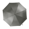 slate-grey