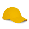 yellow-slate-grey