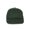 forest-green
