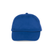 royal-blue