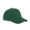 cedar-green