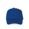 royal-blue