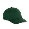 forest-green