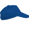 royal-blue