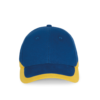 royal-blue-yellow