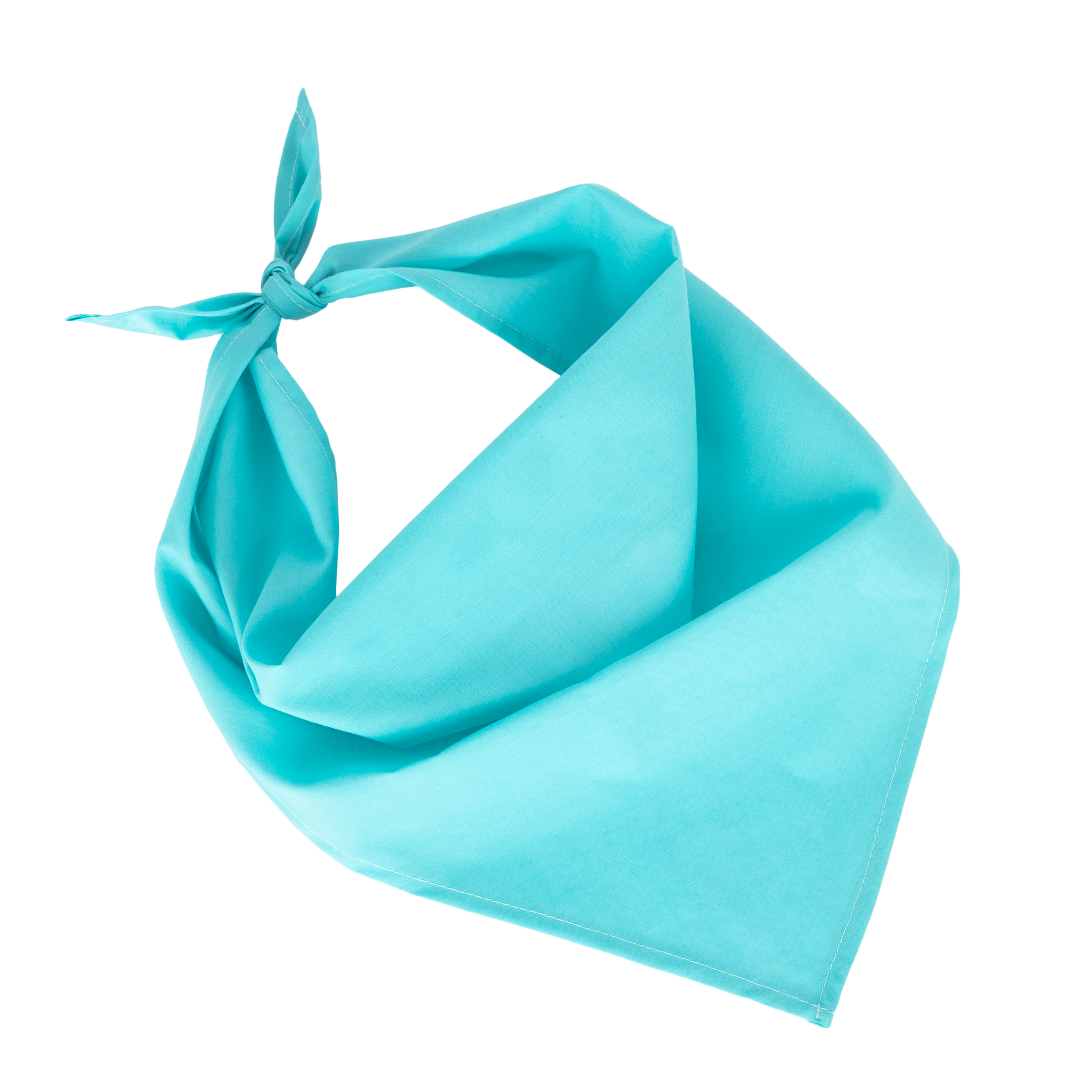 Miniature 20 pour Fiesta - Bandana