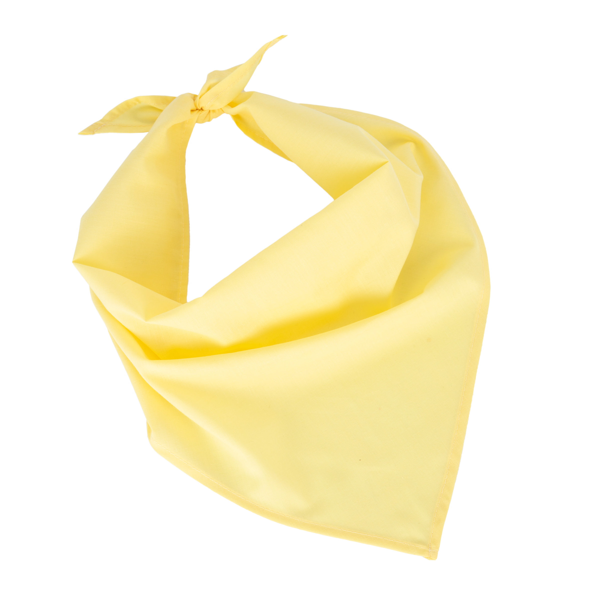 Miniature 21 pour Fiesta - Bandana