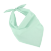 frost-green