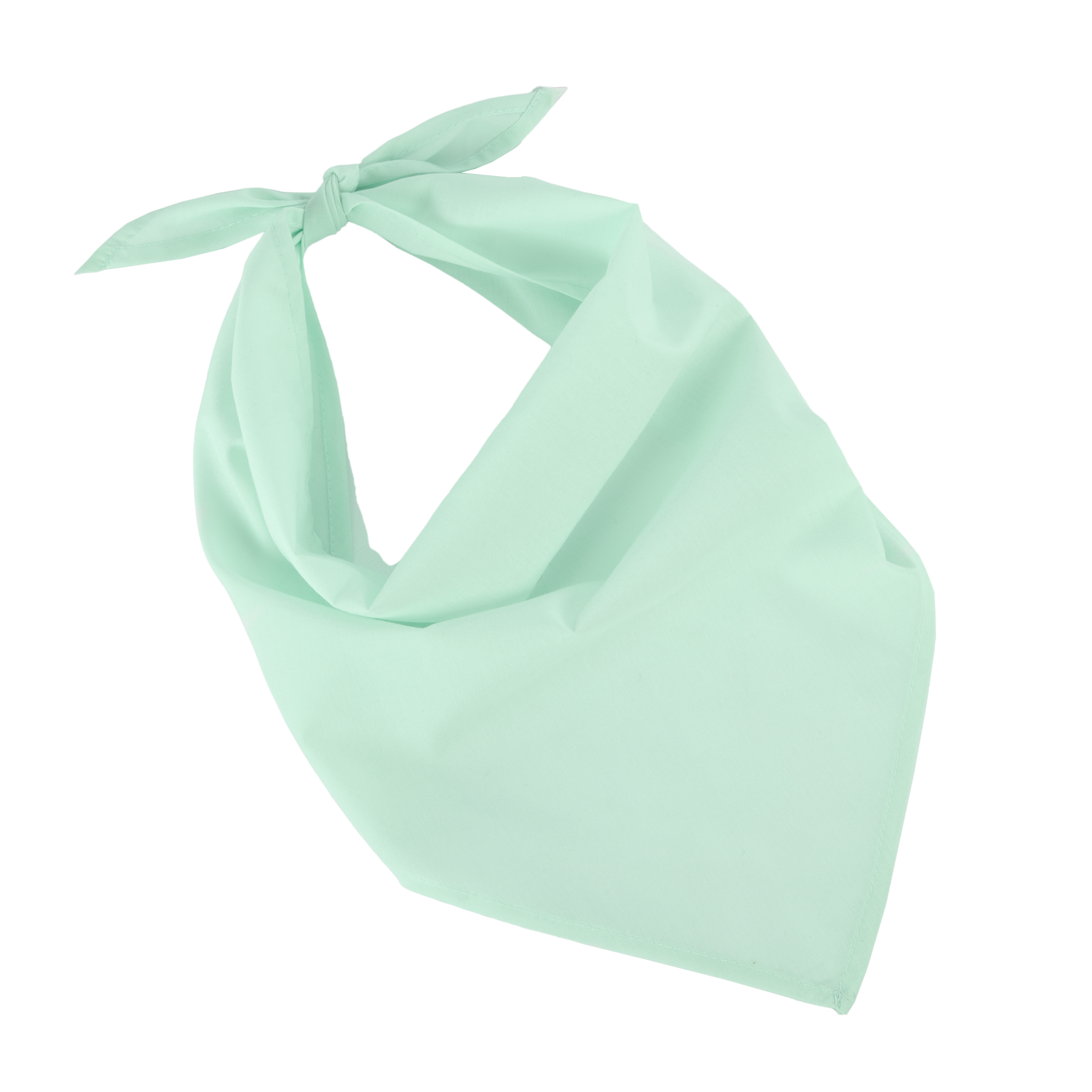 Miniature 22 pour Fiesta - Bandana