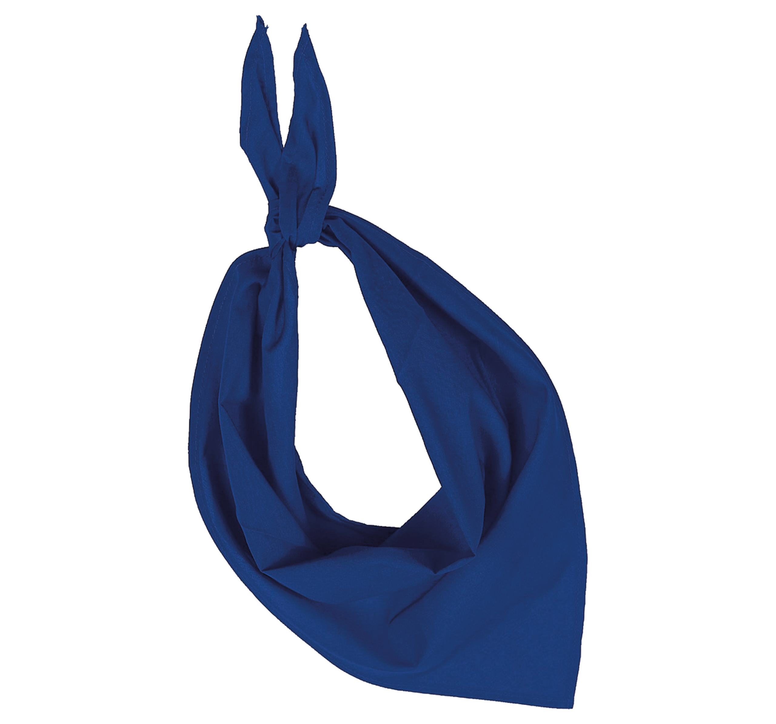Miniature 19 pour Fiesta - Bandana
