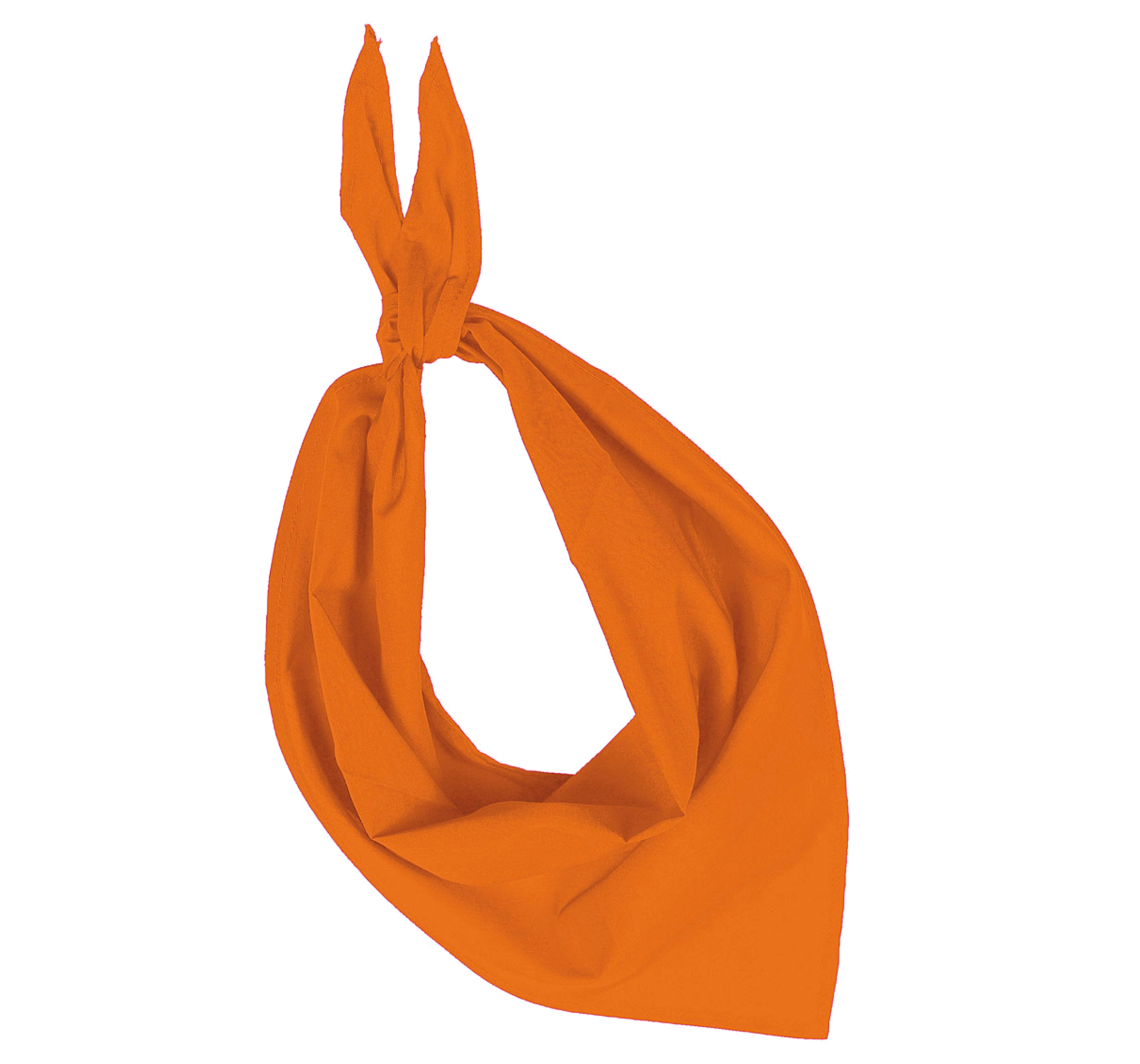 Miniature 10 pour Fiesta - Bandana