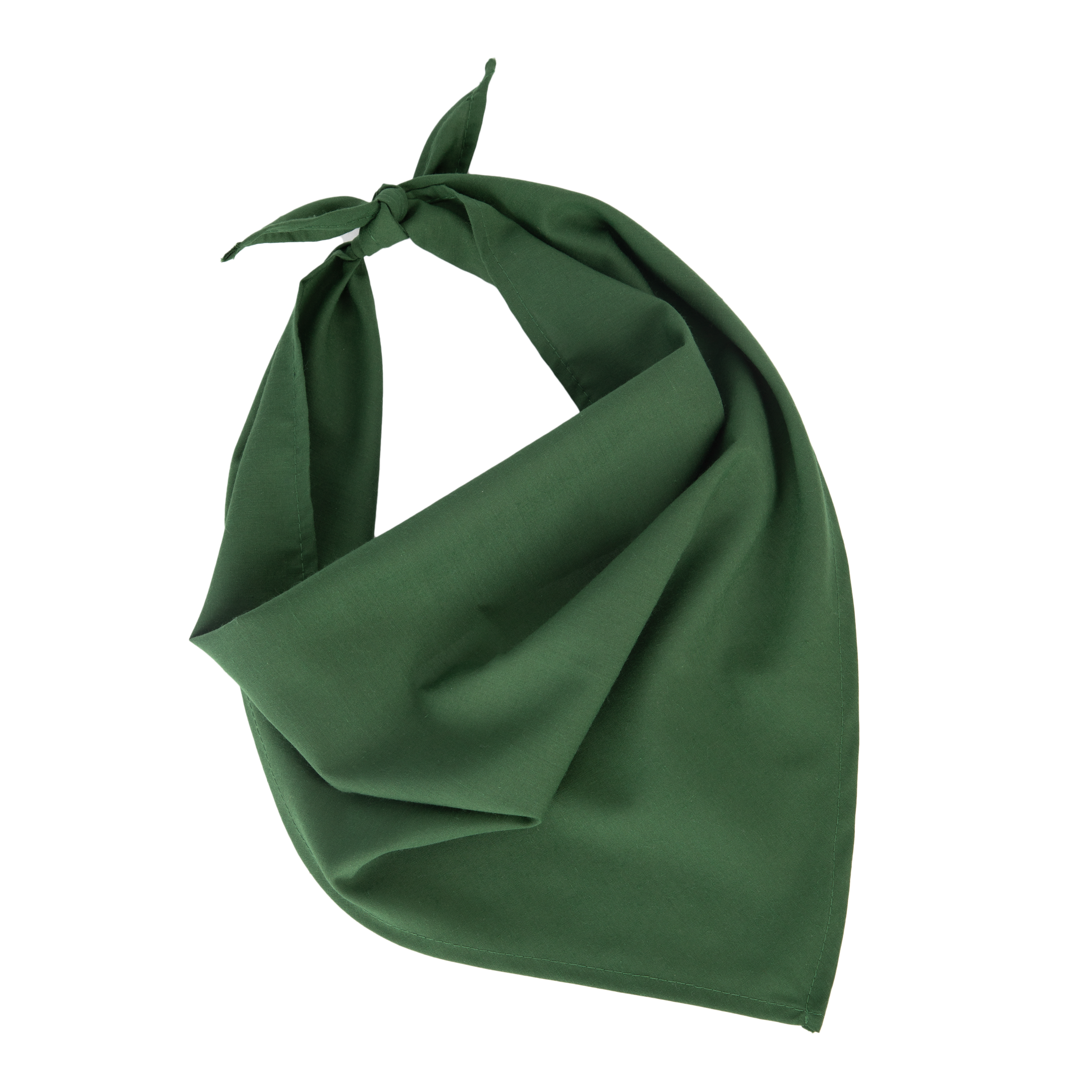Miniature 23 pour Fiesta - Bandana
