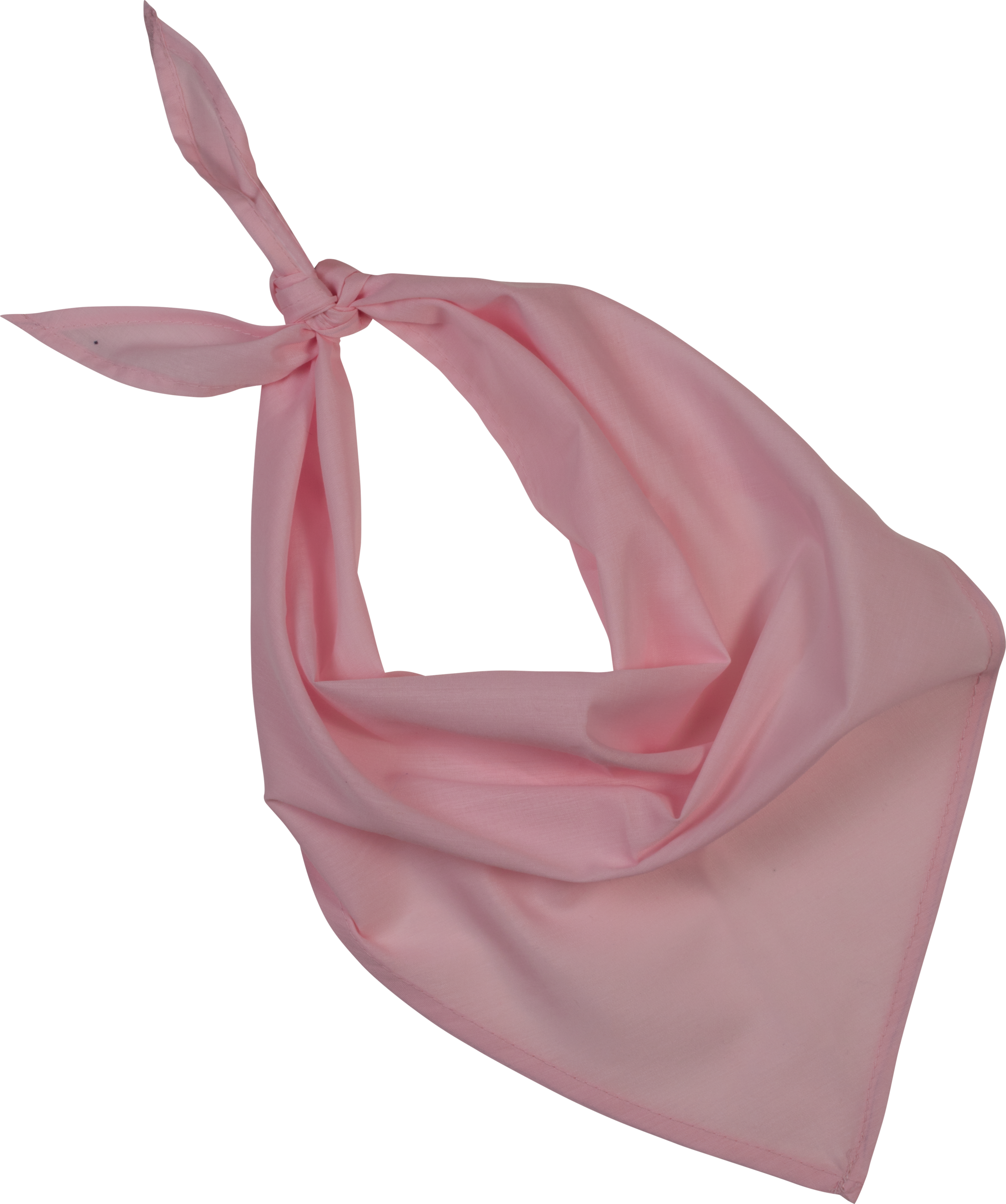 Miniature 11 pour Fiesta - Bandana