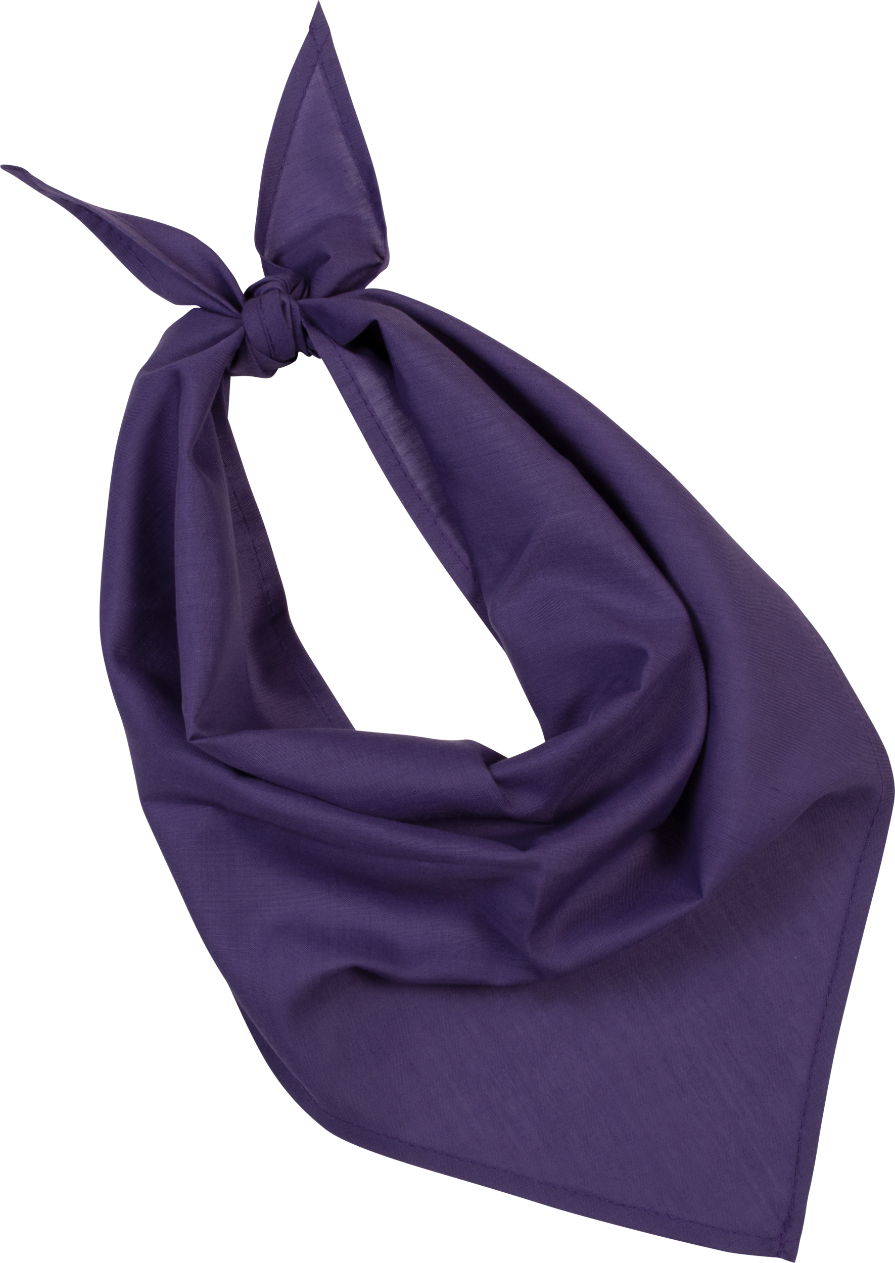 Miniature 12 pour Fiesta - Bandana
