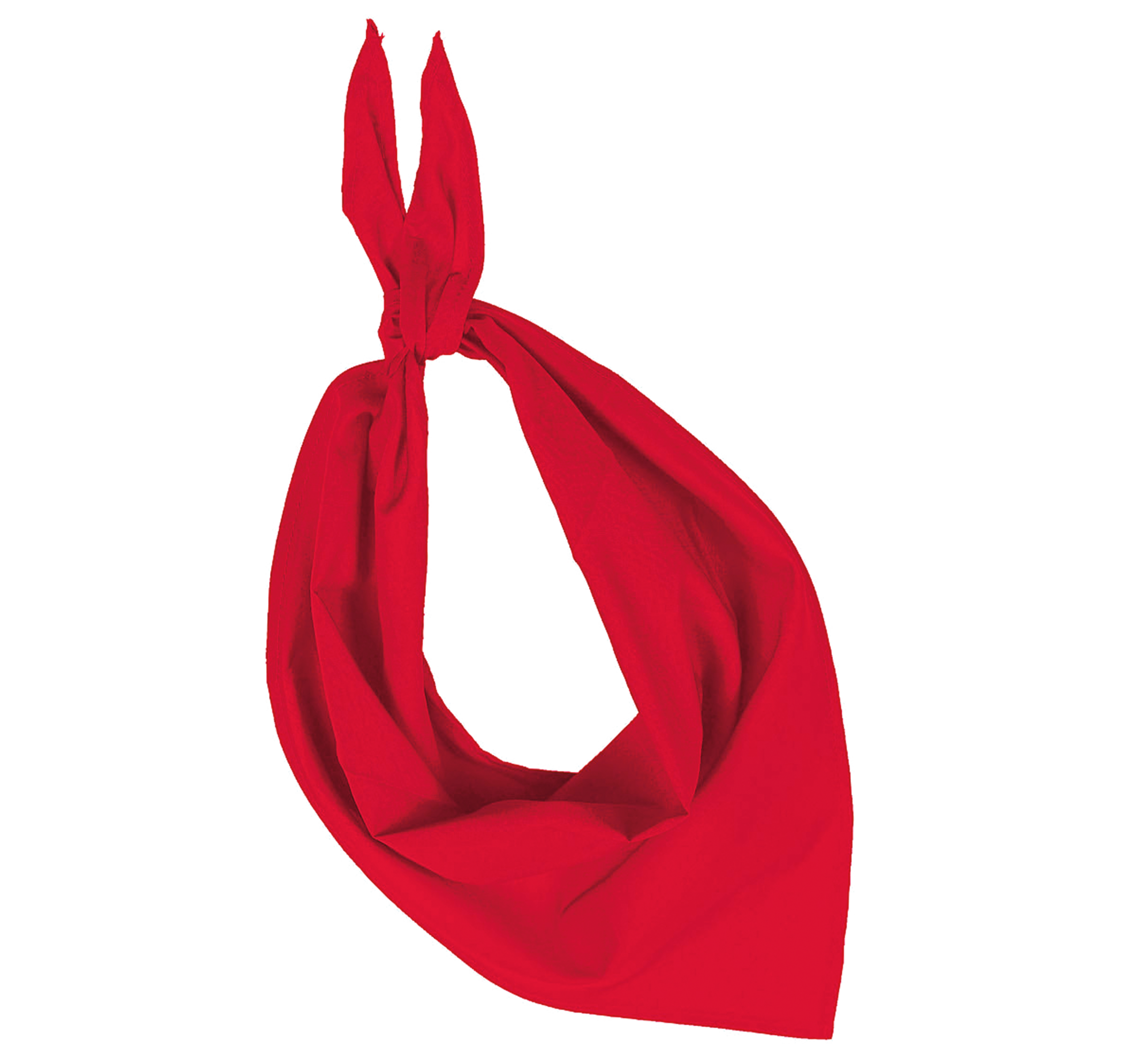 Miniature 13 pour Fiesta - Bandana