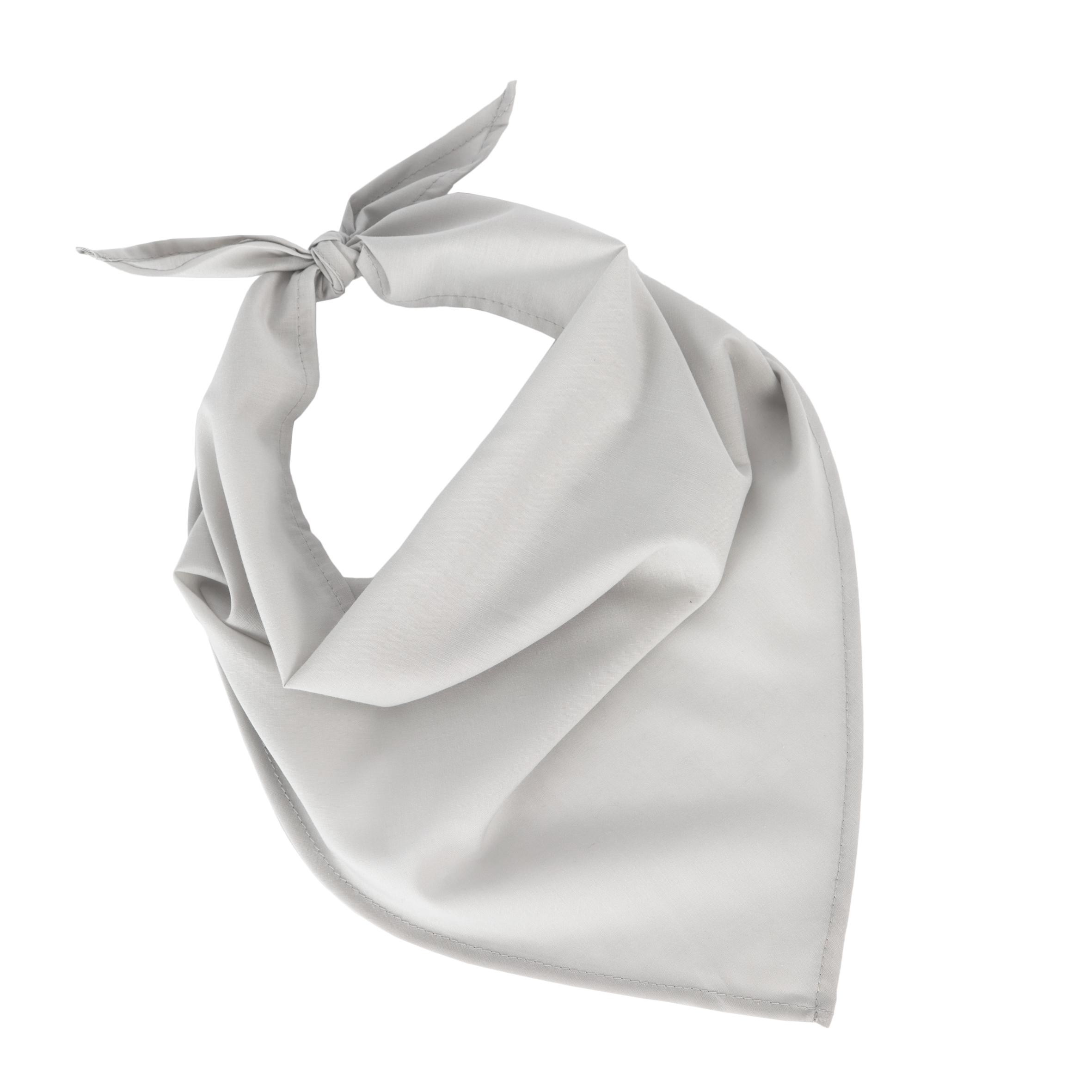 Miniature 24 pour Fiesta - Bandana