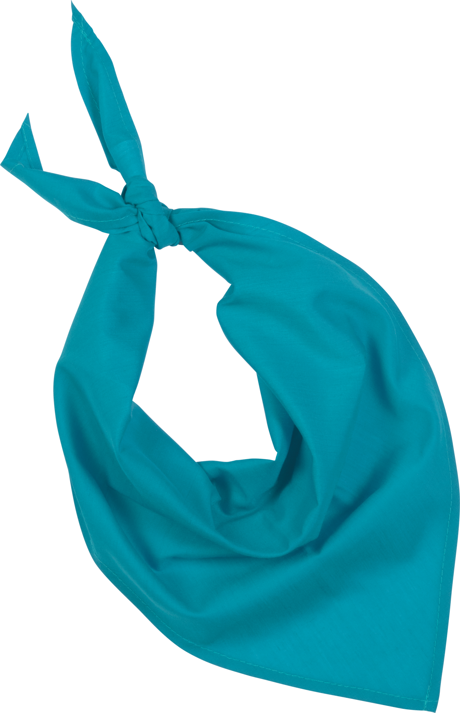 Miniature 15 pour Fiesta - Bandana