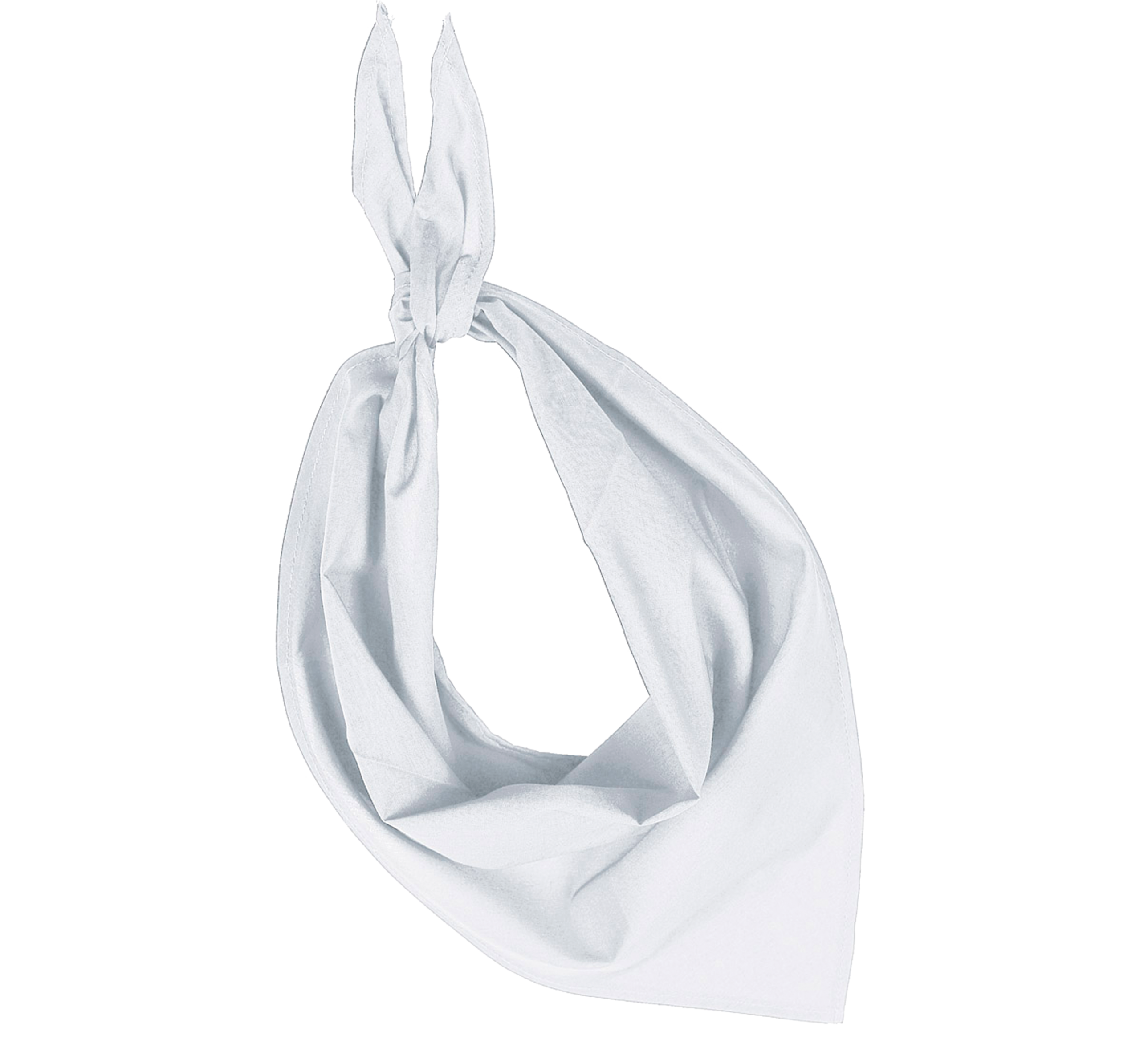 Miniature 16 pour Fiesta - Bandana