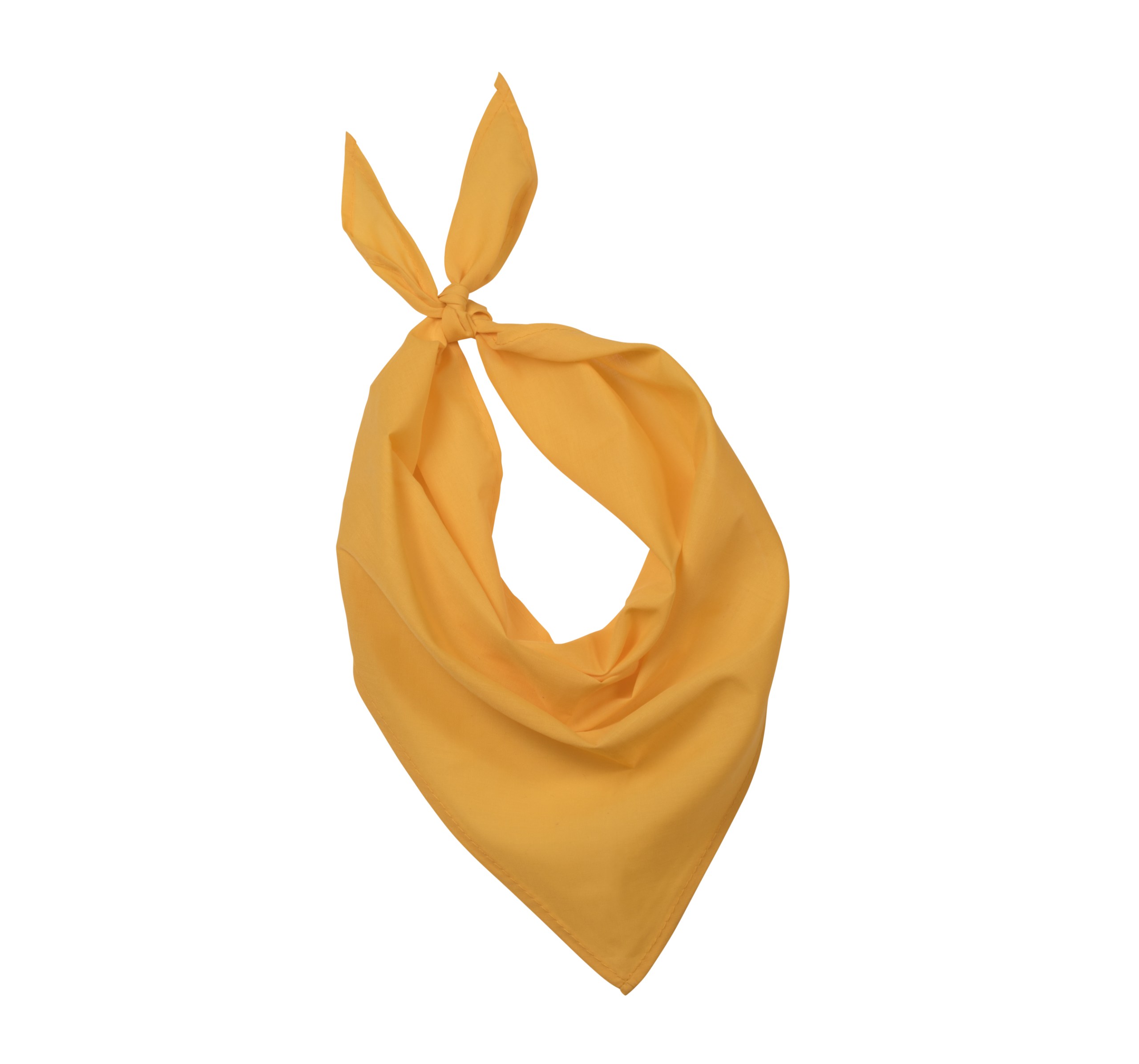 Miniature 18 pour Fiesta - Bandana