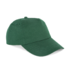 forest-green