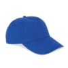 royal-blue