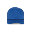 royal-blue