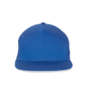 royal-blue