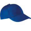 royal-blue