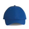 royal-blue