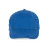 royal-blue