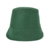 forest-green