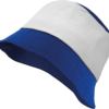 royal-blue-white