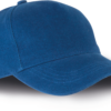 royal-blue