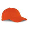 spicy-orange