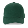 forest-green