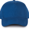 royal-blue