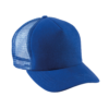 royal-blue