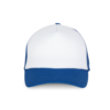 white-royal-blue