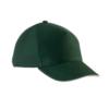 forest-green-beige