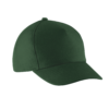 forest-green