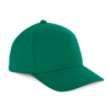 kelly-green