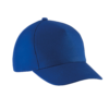royal-blue